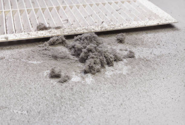 Best HVAC Air Duct Cleaning  in Holiday, FL