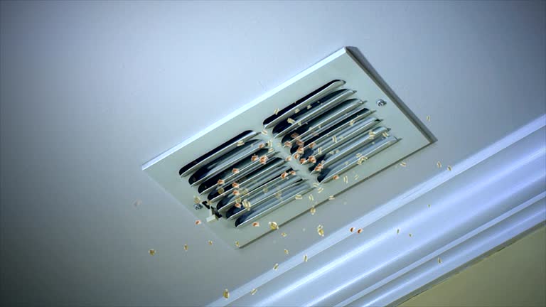 Best Affordable Air Duct Cleaning  in Holiday, FL