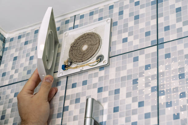 Best Affordable Duct Cleaning Services  in Holiday, FL