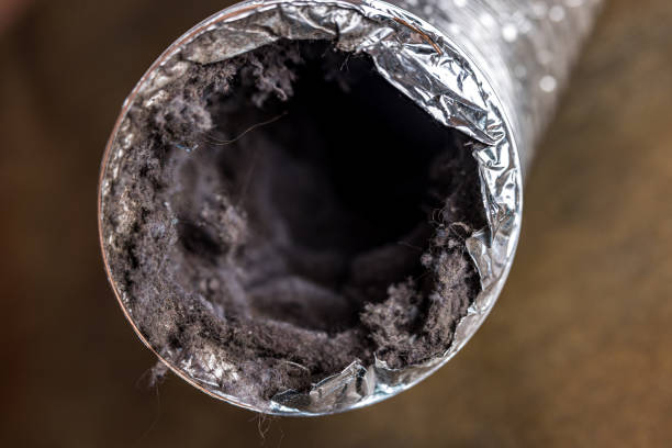  Holiday, FL Airduct Cleaning Pros